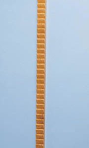 Shoulder / Finger Exercise Ladder