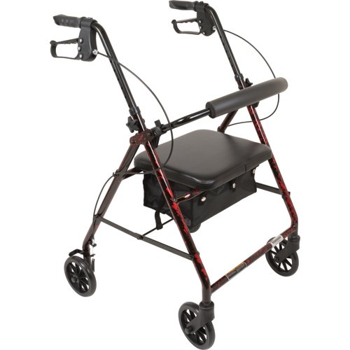 Flame Finish Aluminum Rollator with Loop Brakes, Flame Red
Rollators
ProBasics