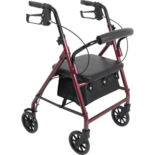 Junior Rollator, 6" Wheels, Burgundy
RLAJ6BG
DME, Mobility
ProBasics