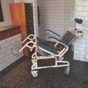 TubBuddy Bathing System With Tilt